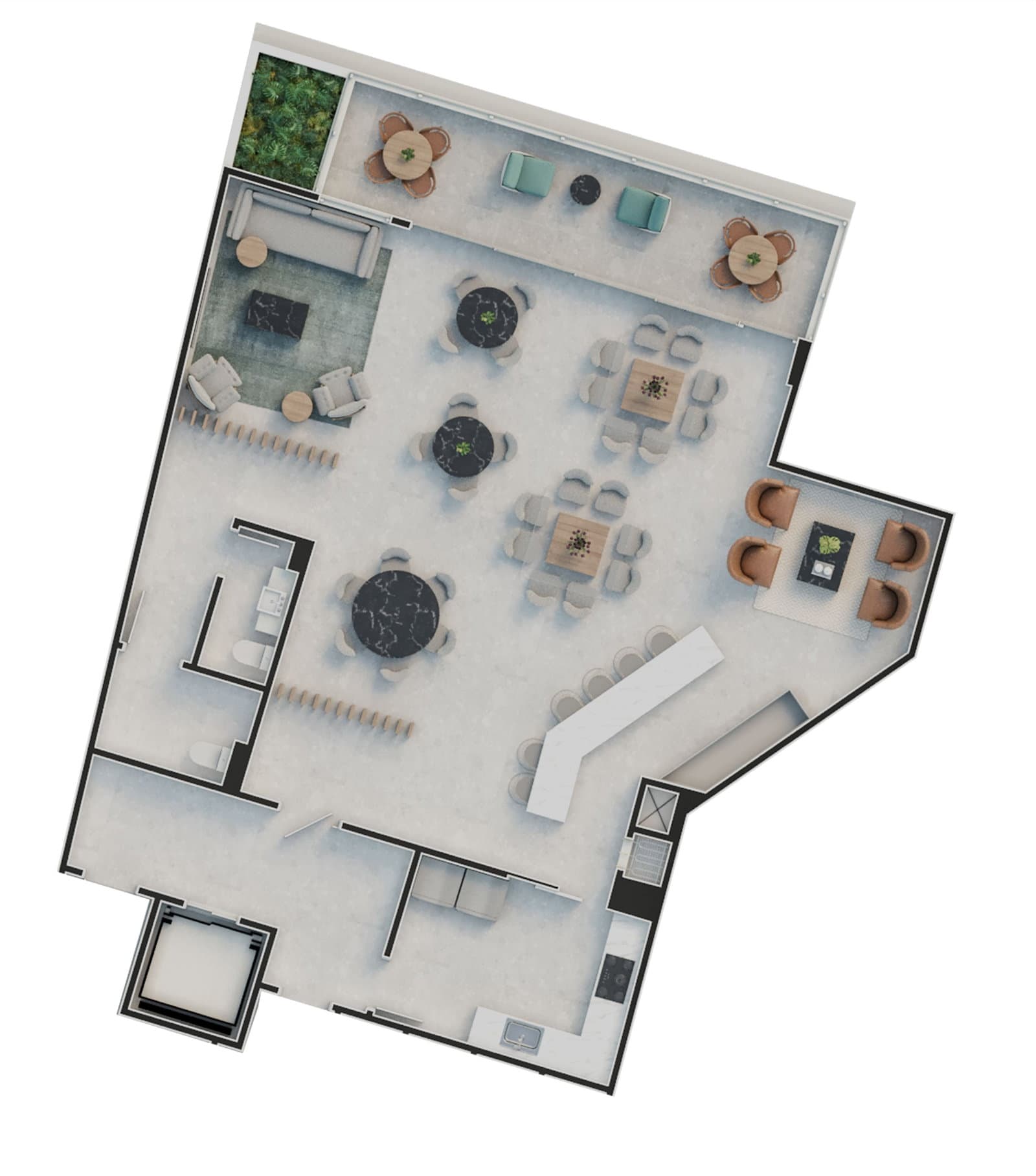 Planta 14 de Vivacità