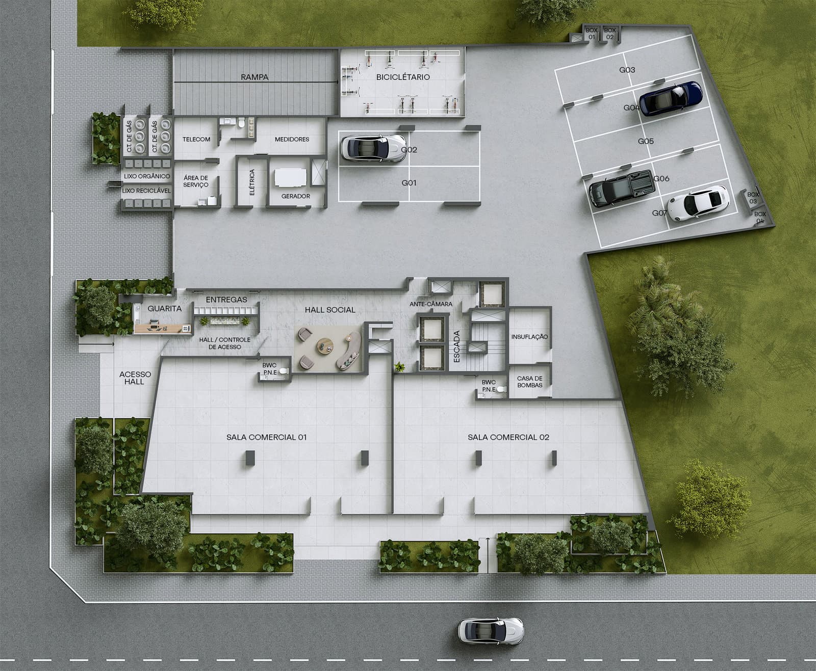 Planta 6 de Monte Viso