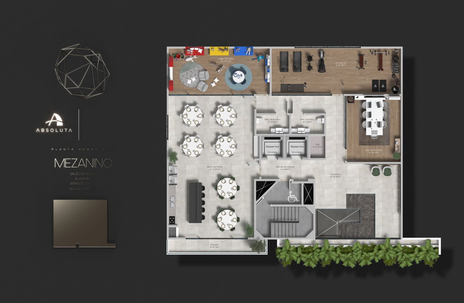 Planta 2 de Diamant Noir