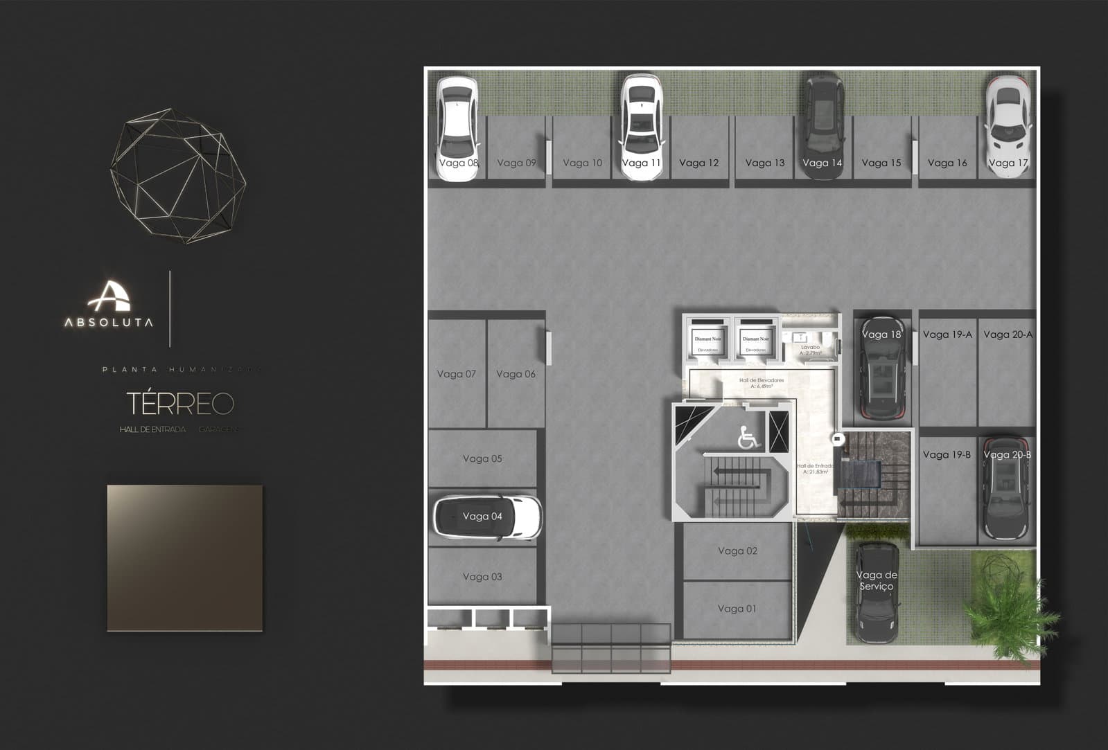 Planta 1 de Diamant Noir
