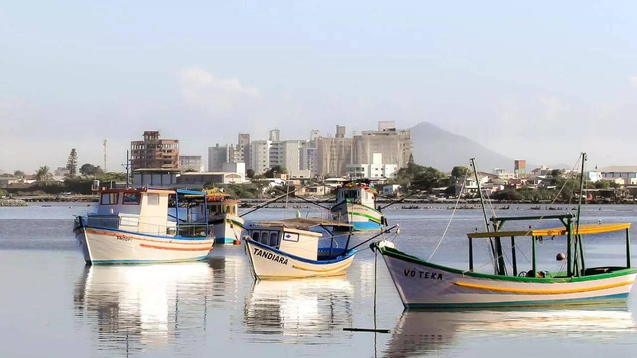 Fazenda, Itajaí: vale a pena morar no bairro? Guia completo