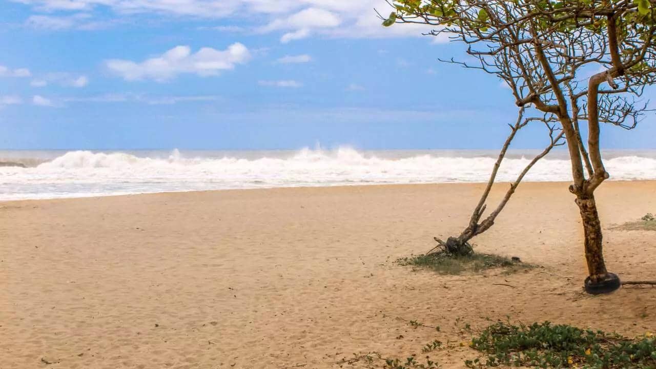 As 10 melhores praias de Itajaí: review de 2024