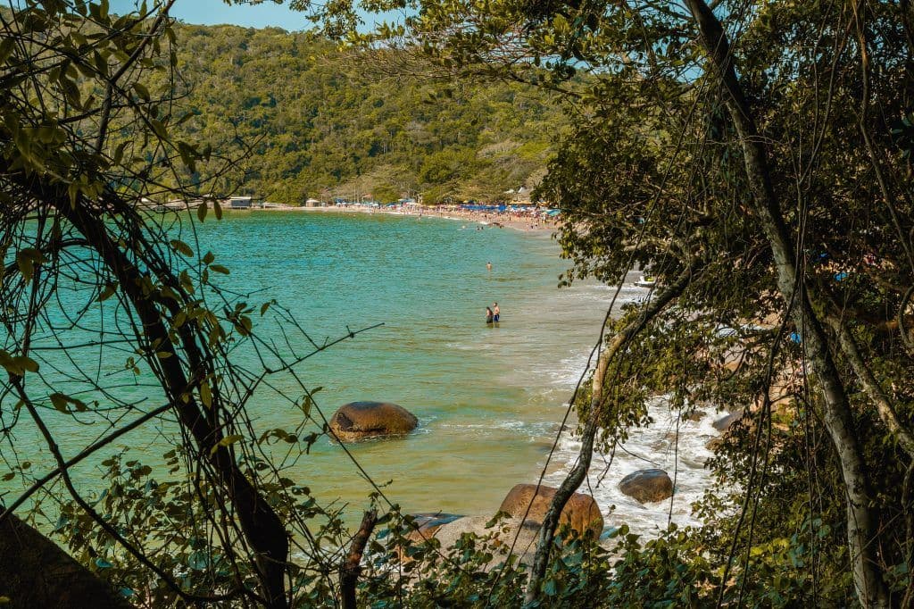 Vista da Praia de Laranjeiras em Balneário Camboriú através de vegetação costeira, com águas calmas e areia dourada